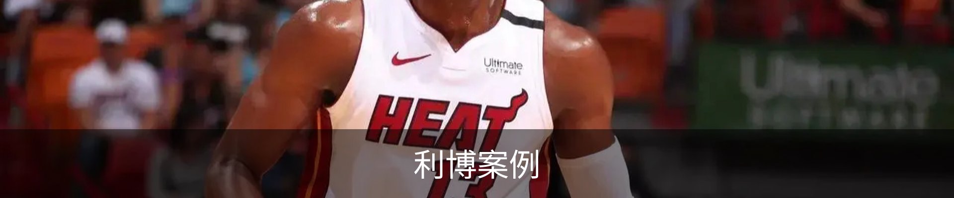 利博案例